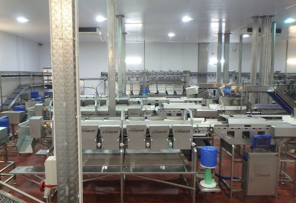 Conveyor Production Hall