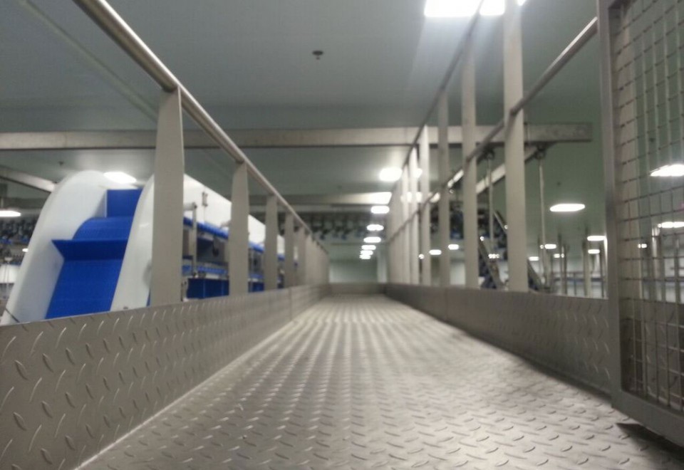 Platform Walkway